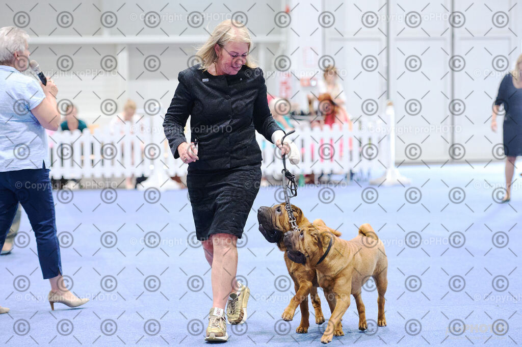 202406_ÖKV-IHA-Tulln24_DSC_2811 | proPHOTO - Realisiert mit Pictrs.com