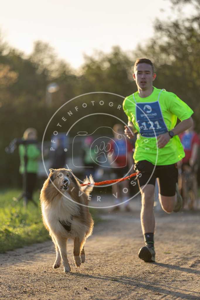 Pfotenfotografie.de_DV3A2379 | Hundefotografie, Tierfotograf, Pfotenfotografie, Fotoshooting Hund, Hunde Portrait, Hundesport, Hundeportraits, Heideshooting, Hunde, Sportfotograf, Hundefotograf, Turnierhundsport, THS, canicross - Realisiert mit Pictrs.com