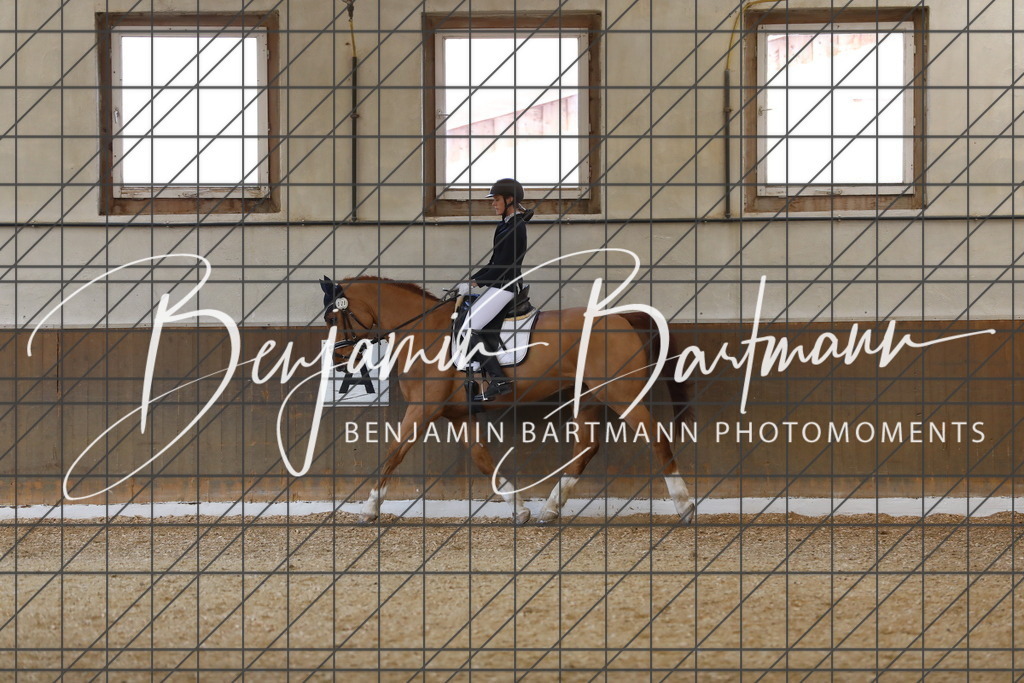 AZ2A8337 | Benjamin Bartmann Photomoments
