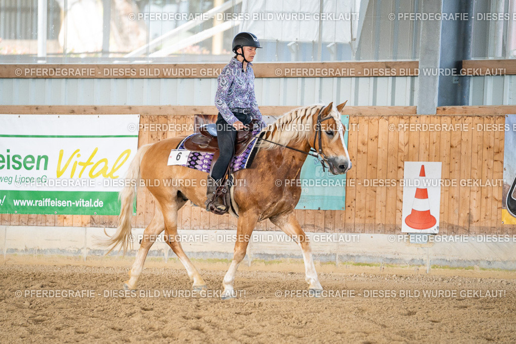 DSC02480 | Pferdegrafie