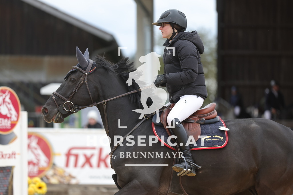0P6A3358 | Willkommen bei Brunnmayr - Design & Fotografie – Ihrem Spezialisten für Reitturniere und Pferdeveranstaltungen in Oberösterreich, Salzburg und Bayern! Seit über 17 Jahren sind wir leidenschaftlich dabei.