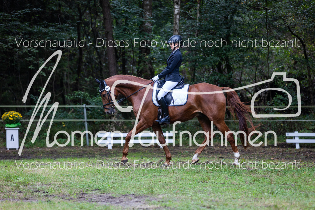 HB-A-Dressur-048 | MomenTaufnahmen Pferdesportfotos