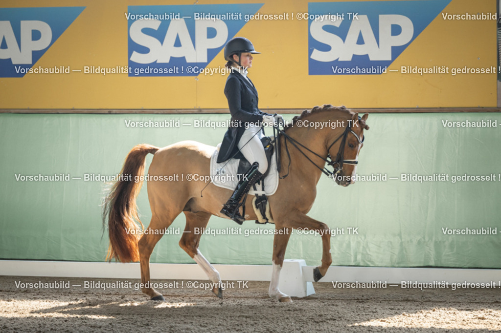 _D5A9399 | Emotionale Pferde- & People-Fotografie rund um Heidelberg, Leimen & Umgebung. Natürliche Fotos von Pferd, Mensch & Familie. Jetzt Termin sichern!