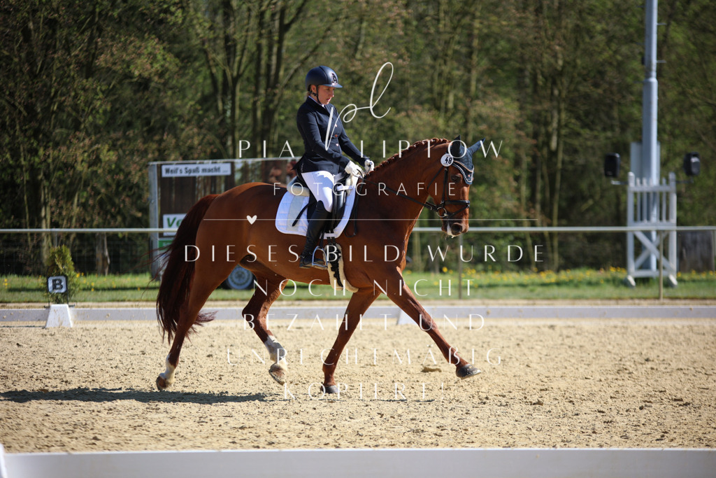 IMGT8255 | pl-fotografie