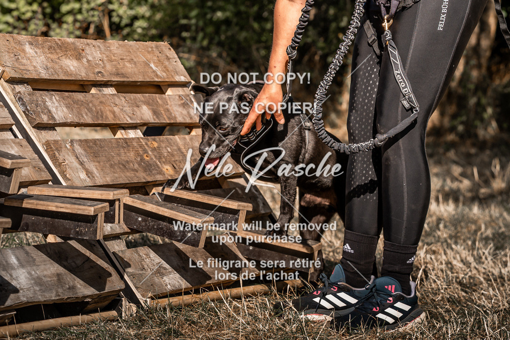 nelerasche_slaw24So_214 | nelerasche