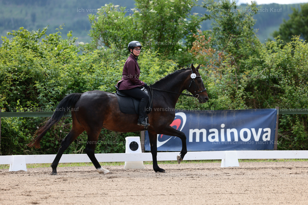KlasseE_Stoibphotography_CAM21731.JPG | working equitationturnier fotograf videograf stoibphotography marixx film working equitation deutschland reitsport turnierfotografie eventfotografie equestrian events