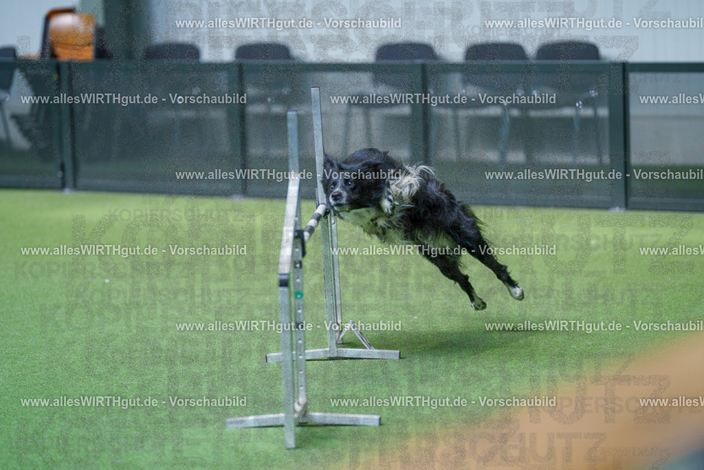 @allesWIRTHgut_Tierfotografie - www.allesWIRTHgut.de - 2604261520-7R505257 | Professionelle Tierfotografie in Mönchengladbach von Daniel Wirth (allesWIRTHgut). Liebevolle & natürliche Bilder von Hunden & Katzen für unvergessliche Erinnerungen.