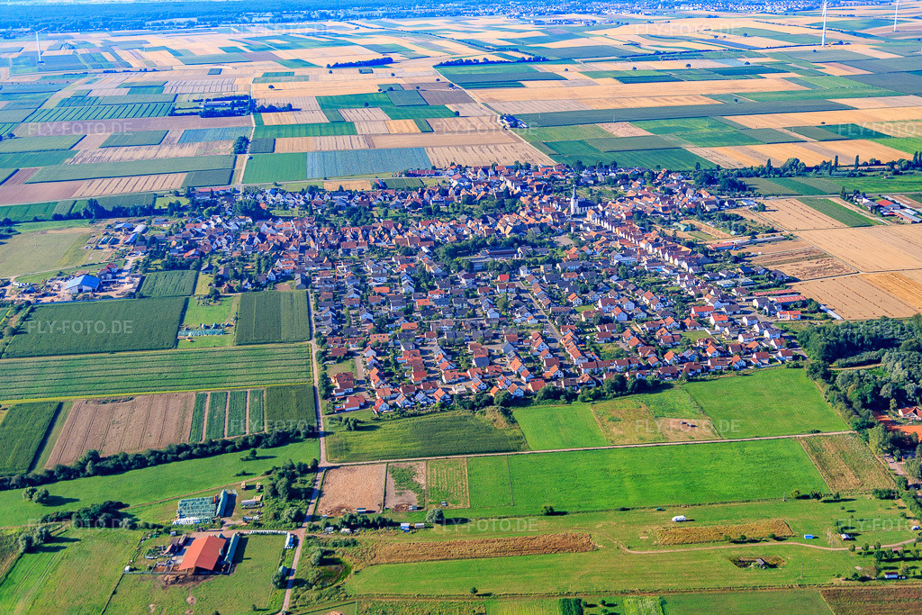 Luftbild: Ortsansicht von Norden in Ottersheim bei Landau im Bundesland Rheinland-Pfalz in Deutschland. Foto: IMG_092492.jpg vom 01.08.2016 durch Werner Riehm/FLY-FOTO.de