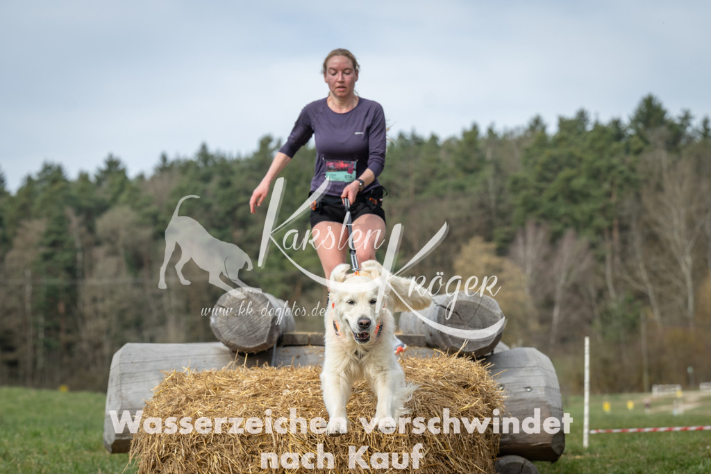 1117_ZZ96661 | kk-dogfotos