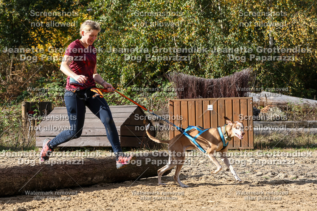 Dog Paparazzi - Strongdog 10-25-5498 | Dog Paparazzi Jeanette Grottendiek Fotografie & Videografie - Realisiert mit Pictrs.com