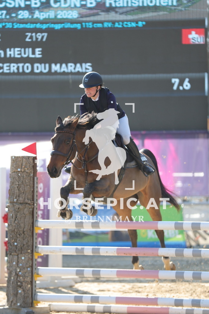 0P6A9443 | Willkommen bei Brunnmayr - Design & Fotografie – Ihrem Spezialisten für Reitturniere und Pferdeveranstaltungen in Oberösterreich, Salzburg und Bayern! Seit über 17 Jahren sind wir leidenschaftlich dabei.
