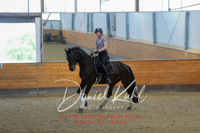 IMG_3528 | Deine Turnierfotos vom Reitturnier online kaufen: Dressur, Springen & Siegerehrung. Professionelle Pferdefotografie aus dem Rheinland – als Download & Print.Alternative: Turnierfotograf für den Pferdesport: Finde deine Fotos von Dressur- und Springturnier