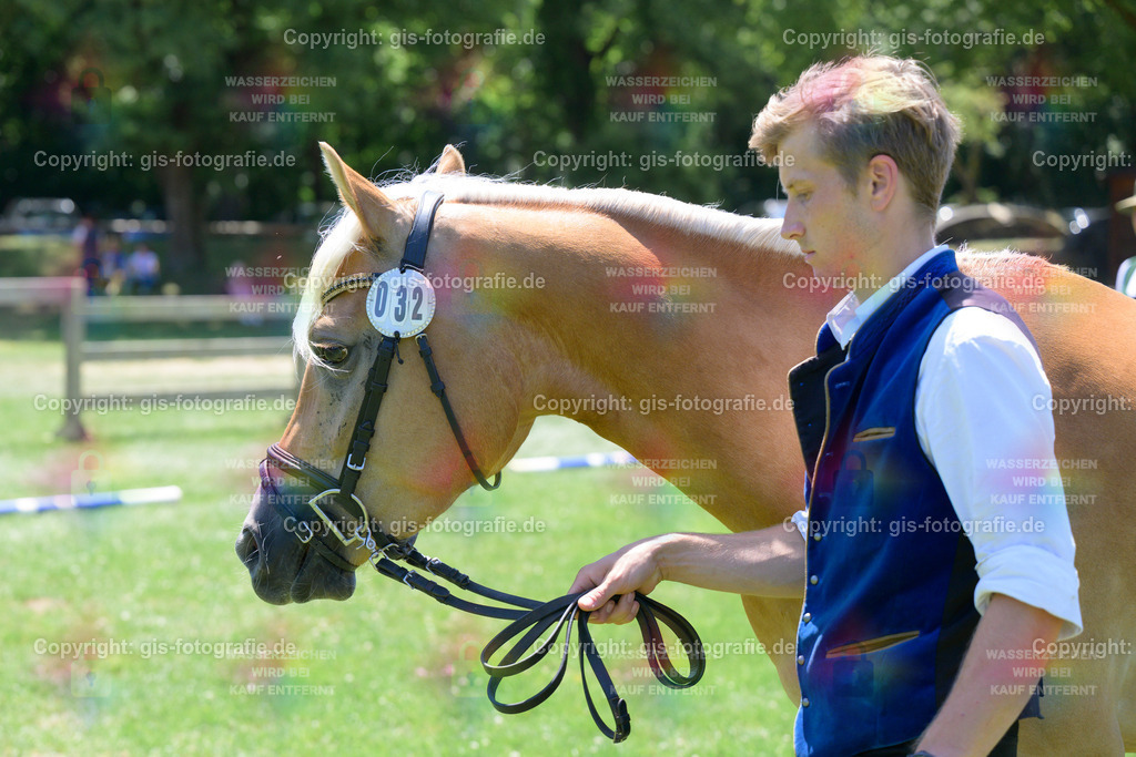 32_Noemi_v.Wyno_Mayer_250621_01 | gis-fotografie