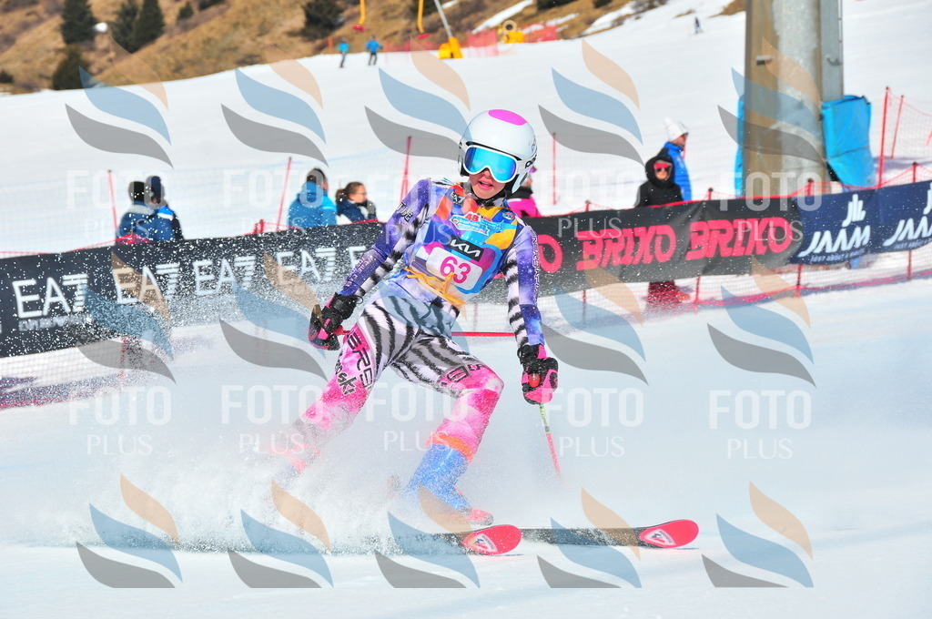 DSC_4217 | holidayphoto