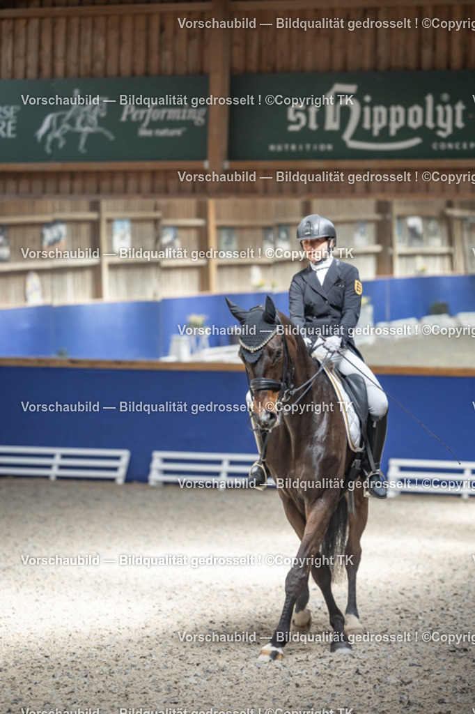 _D5A9272 | Emotionale Pferde- & People-Fotografie rund um Heidelberg, Leimen & Umgebung. Natürliche Fotos von Pferd, Mensch & Familie. Jetzt Termin sichern!