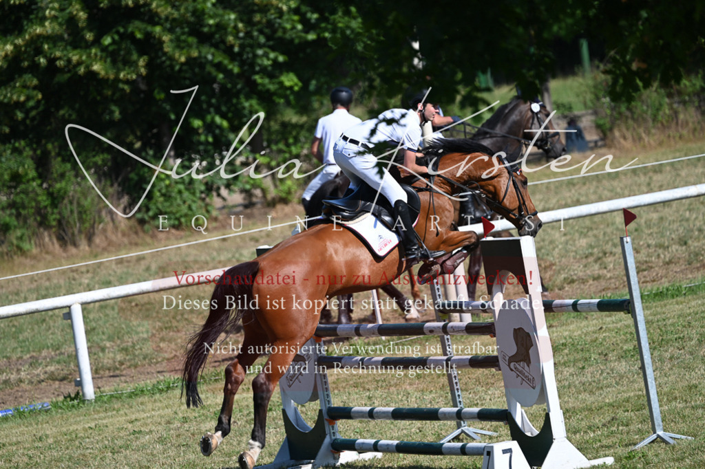 DSC_1927 | Pferde- und Turnierfotografie in Westsachsen. Pferdeportraits, Auftragszeichnungen und intuitive Kunst.