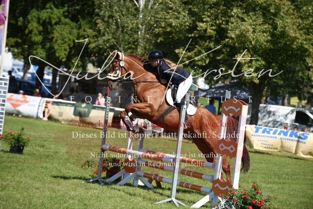 DSC_9350 | Pferde- und Turnierfotografie in Westsachsen. Pferdeportraits, Auftragszeichnungen und intuitive Kunst.