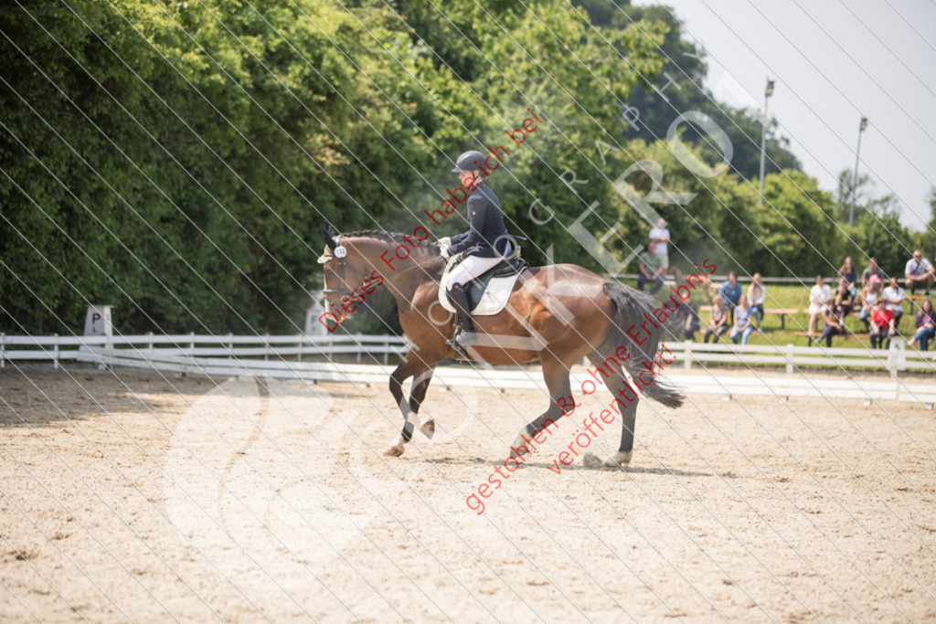 IMG_3875 | Sport-, Event- und Tierfotos in Profiqualität. Einfach auswählen, bestellen und herunterladen. Dein Moment – perfekt festgehalten.