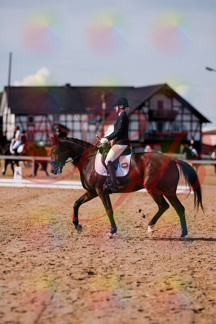 2026_10_03_Siefer-Hof_125827_Z81_48566997 | Professionelle Reitsport-, Turnier- und Eventfotografie von Robert Broda. Galerien mit ausgewählten und bearbeiteten Bildern direkt online ansehen und bestellen.