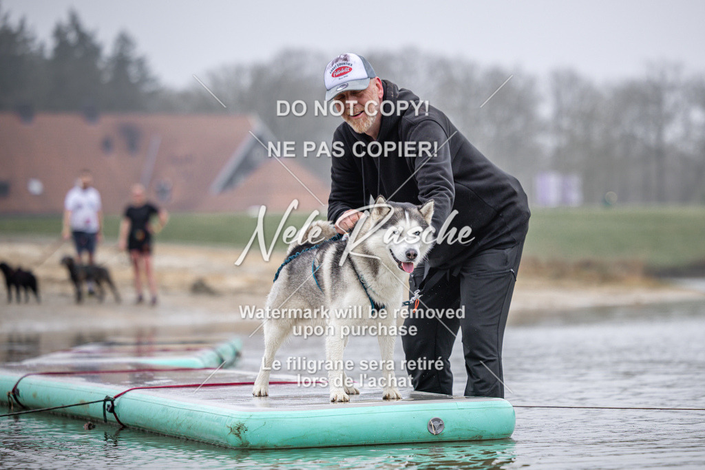 nelerasche_Hulsbeek_Sa0845-1030_238 | nelerasche