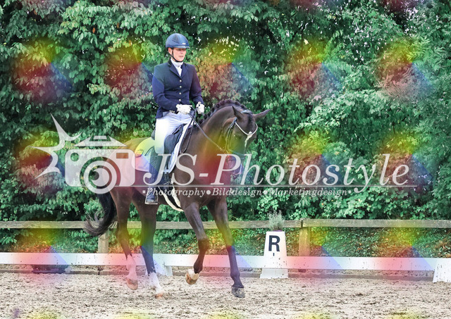 20250727_Dressurpferdeprfg_Kl.A-117 | JS-Photostyle - Sport-/Portrait- & Eventfotografie