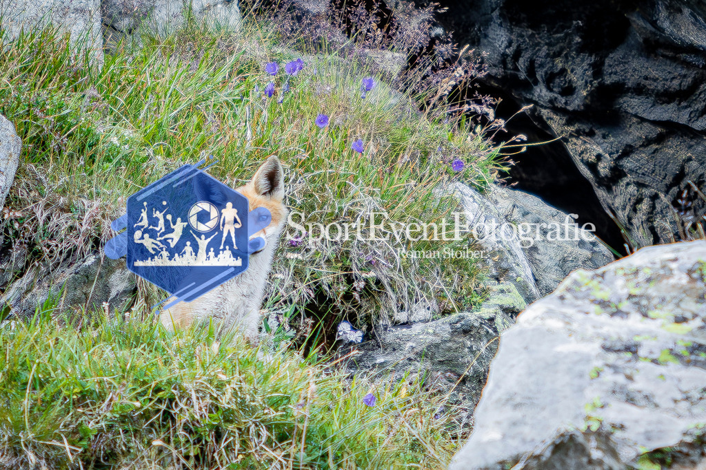 IMAG1141 | SportEventFotografie - Roman Stoiber