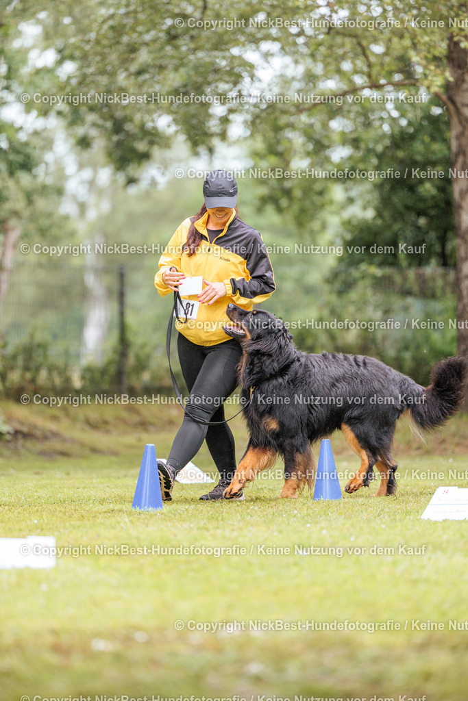 RO-Blumenthal-2026-Nickbest-Hundefotografie-4132 | Dein Hund! Dein Moment! Deine Erinnerungen! Hundefotografie in Bremen Blumenthal. Ich fange die besonderen Momente deines Vierbeiners ein – ob Indoor mit Blitzanlage oder in der freien Natur. Sicher dir dein Moment und dein Termin für eure Erinnerungen.