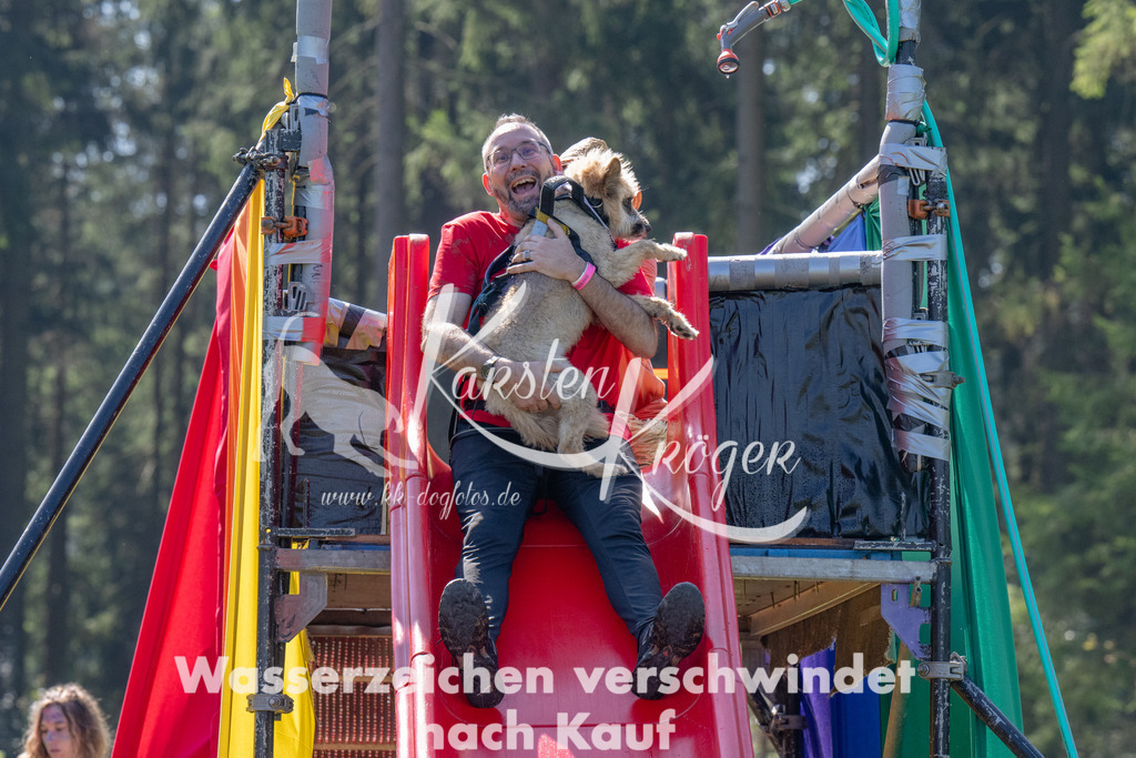 1237_ZZ92735 | kk-dogfotos