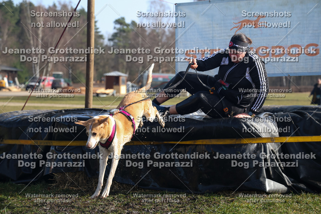 Dog Paparazzi - Strongdog North Mrz26-1265 | Dog Paparazzi Jeanette Grottendiek Fotografie & Videografie - Realisiert mit Pictrs.com