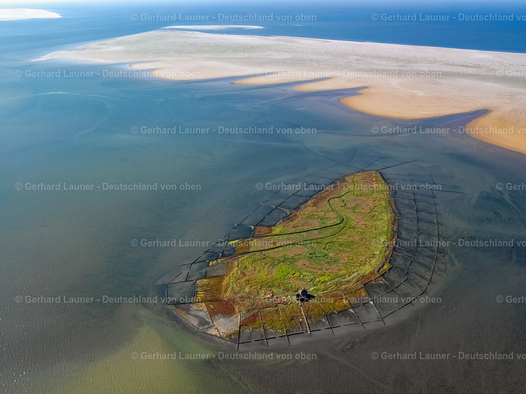 2581386 | NORDEROOG 26.07.2005 Küstenbereich und Naturschutzgebiet der Vogelfreistätte Hallig Norderoog im Bundesland Schleswig-Holstein, Deutschland. // Coastal area and nature reserve of the Hallig Norderoog bird sanctuary in the state Schleswig-Holstein, Germany. Foto: Gerhard Launer