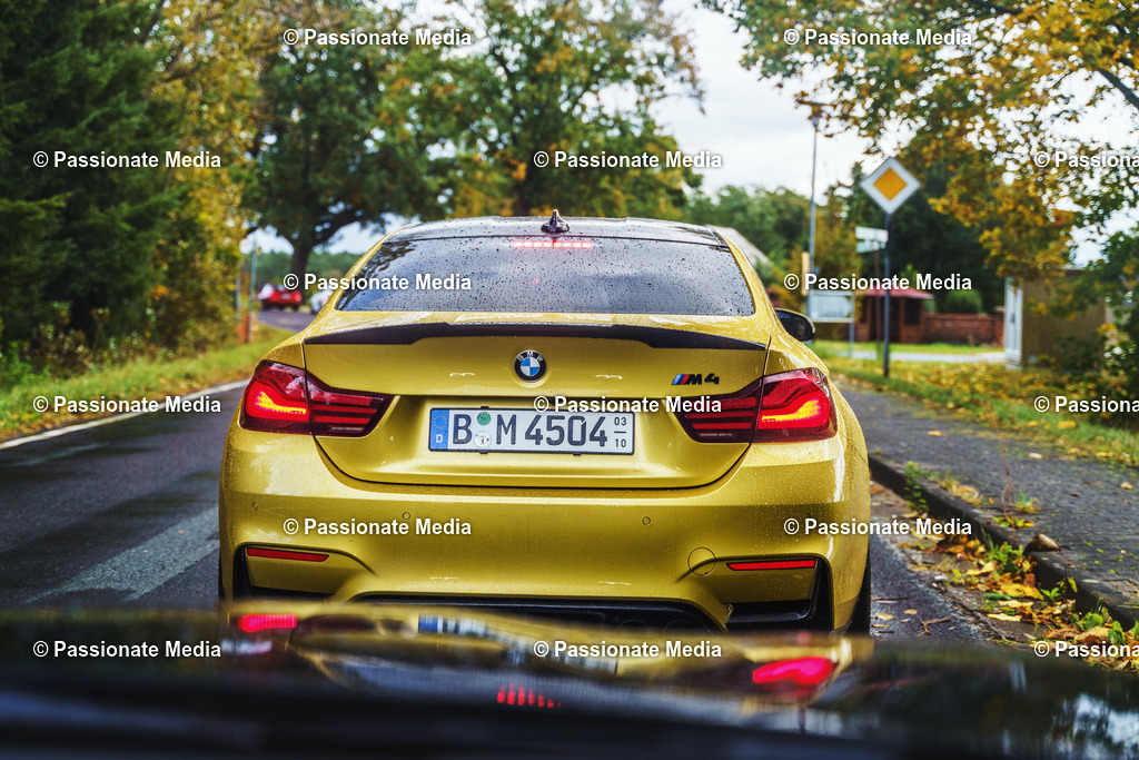 _DSC6144 | Passionate Media, dein Fotograf aus Brandenburg, Märkisch Oderland, im Bereich Motorsport, Autos und Motorräder sowie Events und auch Hunde. Shootings oder auch Eventbegleitungen können bei mir gebucht we