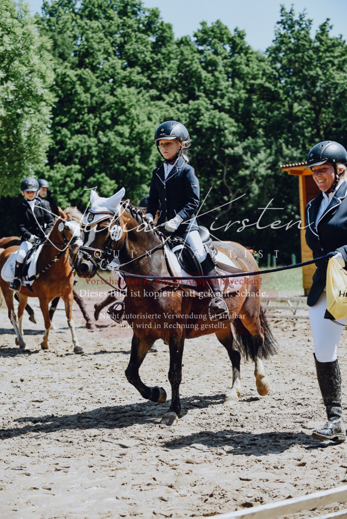 DSC_2361 | Pferde- und Turnierfotografie in Westsachsen. Pferdeportraits, Auftragszeichnungen und intuitive Kunst.