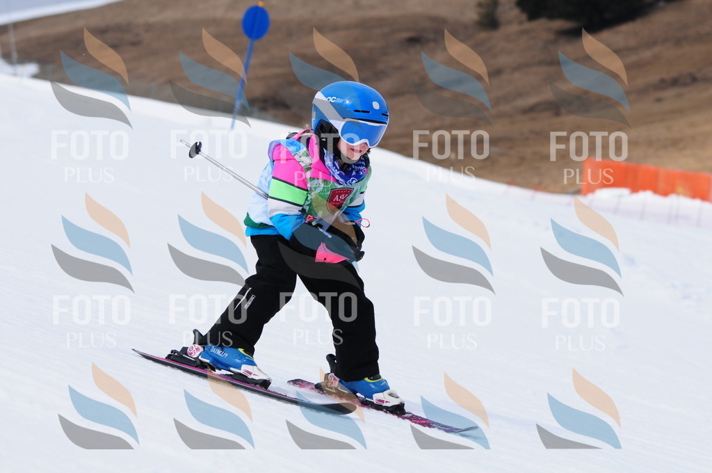 A3549 | holidayphoto