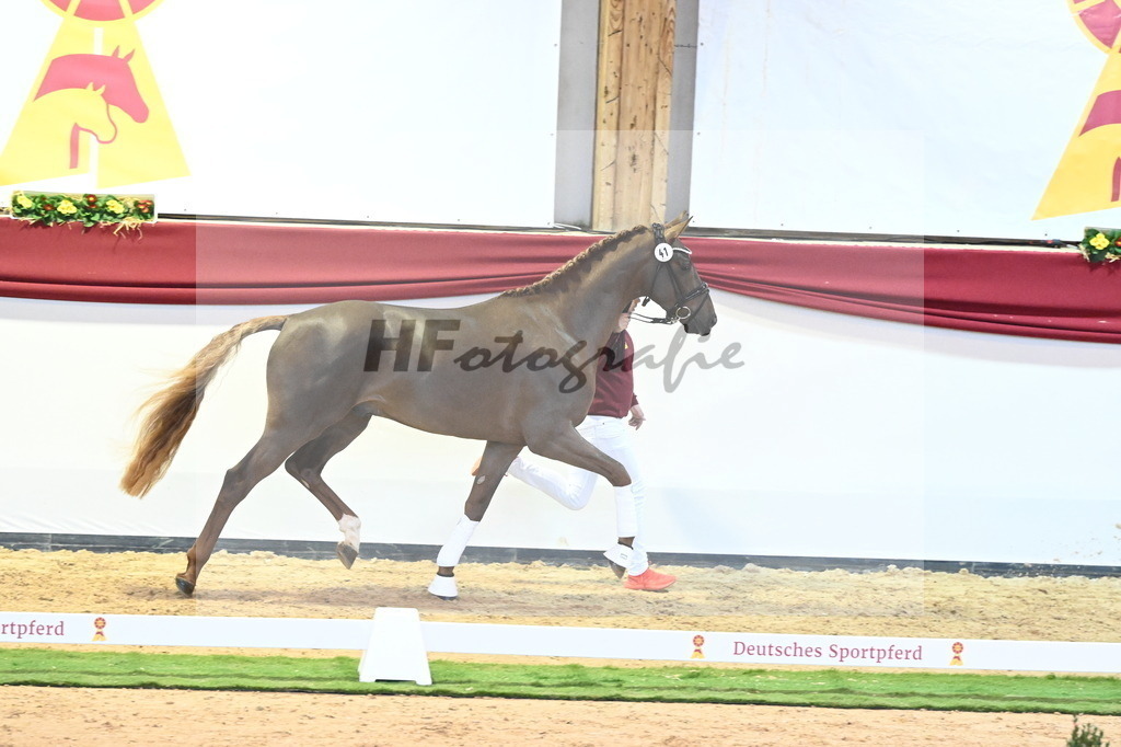 Kat.-Nr. 41 v. Donier_Beckmann_2240440 | hf-fotografie - Realisiert mit Pictrs.com