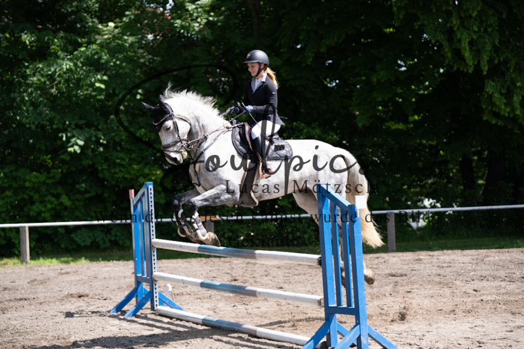 A7V04229 | Pferdefotograf