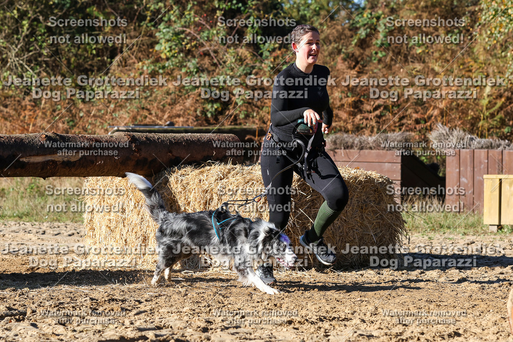 Dog Paparazzi - Strongdog 10-25-1980 | Dog Paparazzi Jeanette Grottendiek Fotografie & Videografie - Realisiert mit Pictrs.com