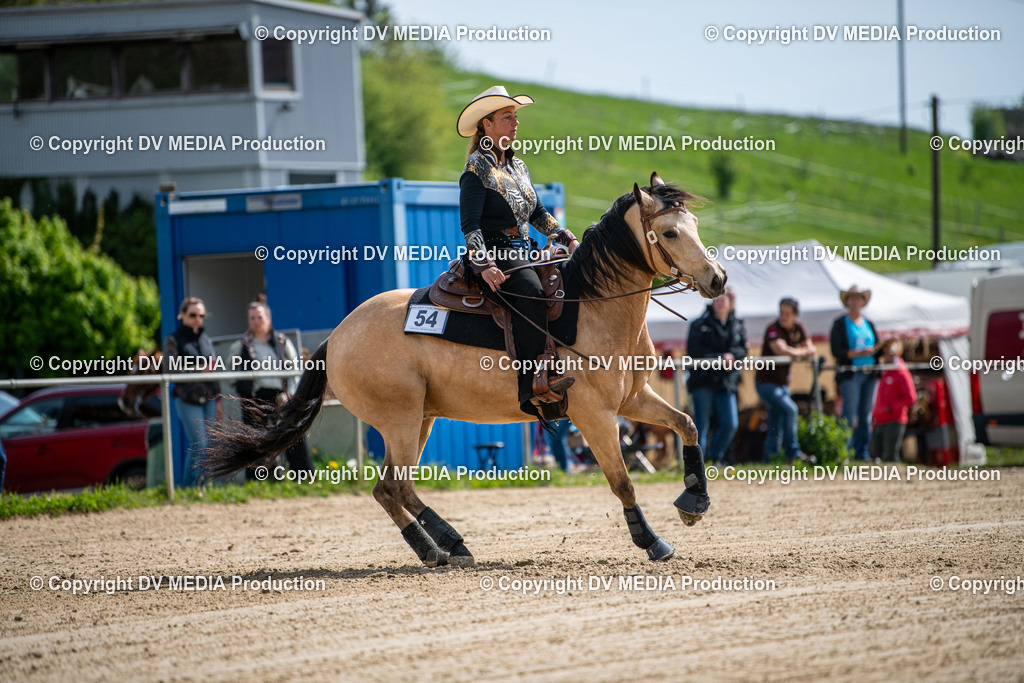 Heiligenwald Tag 3-880 | dv-media-shop - Realisiert mit Pictrs.com