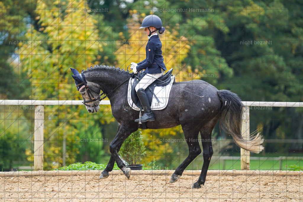 20221008-FAH01478 | Diessen am Ammersee, 2022, Dressur- und Springturnier, Reitsportbilder, Turnierfotografen Bayern, Pferdefotografen, Fotoagentur Herrmann, Turnierbilder