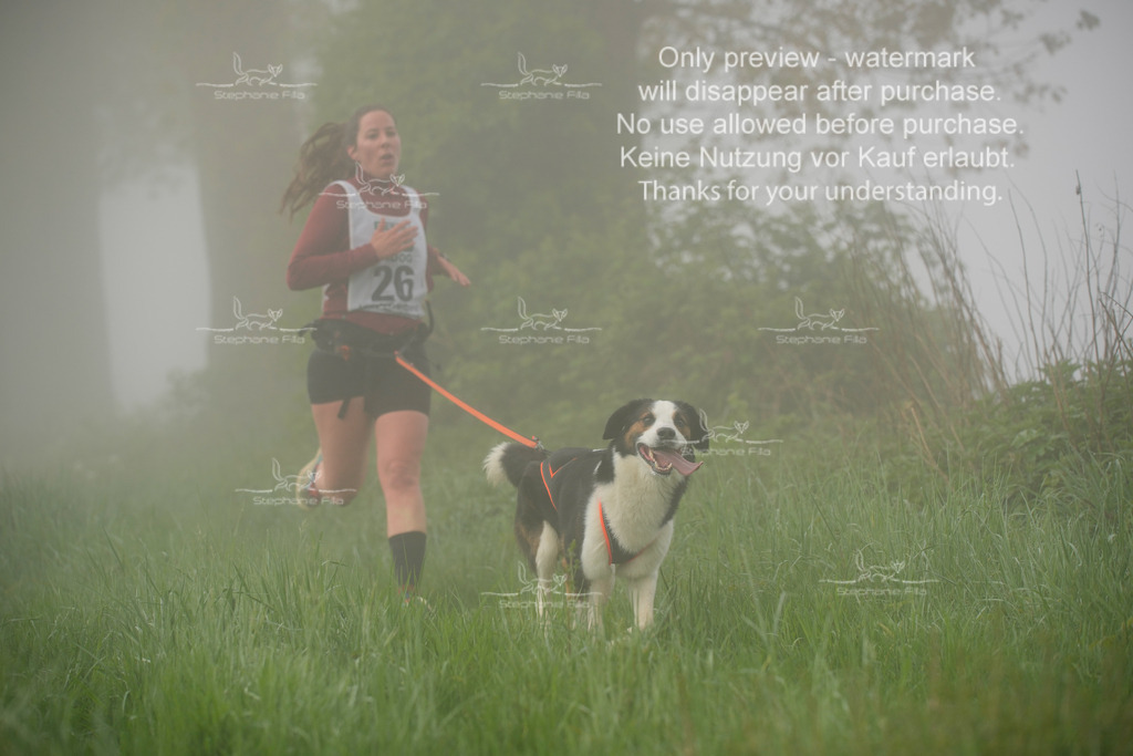 SA_GL2-140 | stephaniefillaphotographie - Realisiert mit Pictrs.com