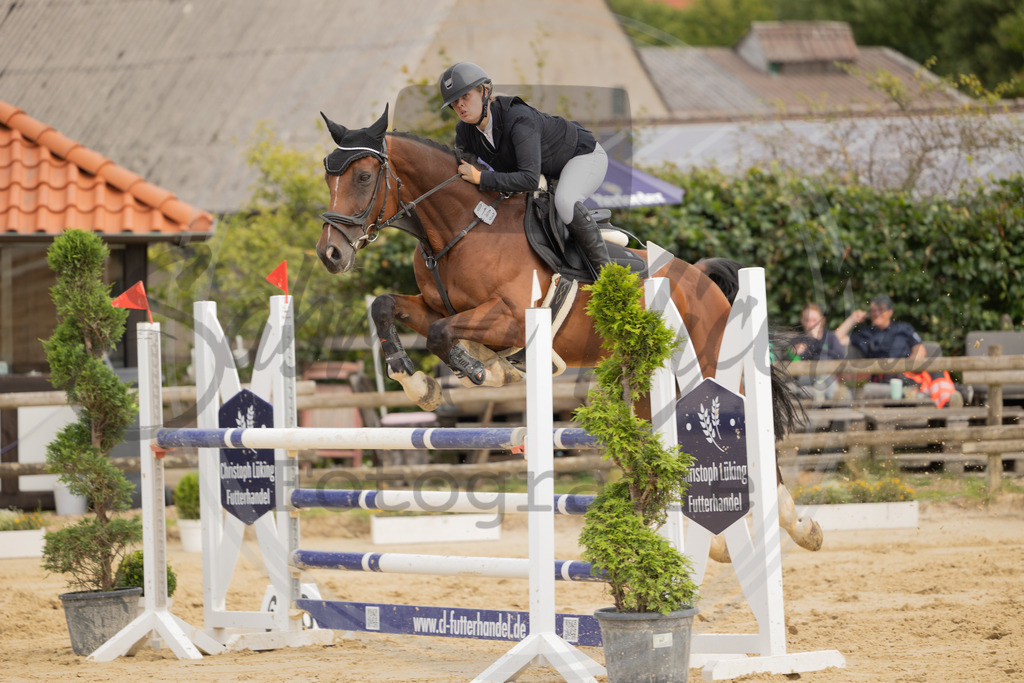 994A9316 | sabrinanicolaifotografie - Realisiert mit Pictrs.com