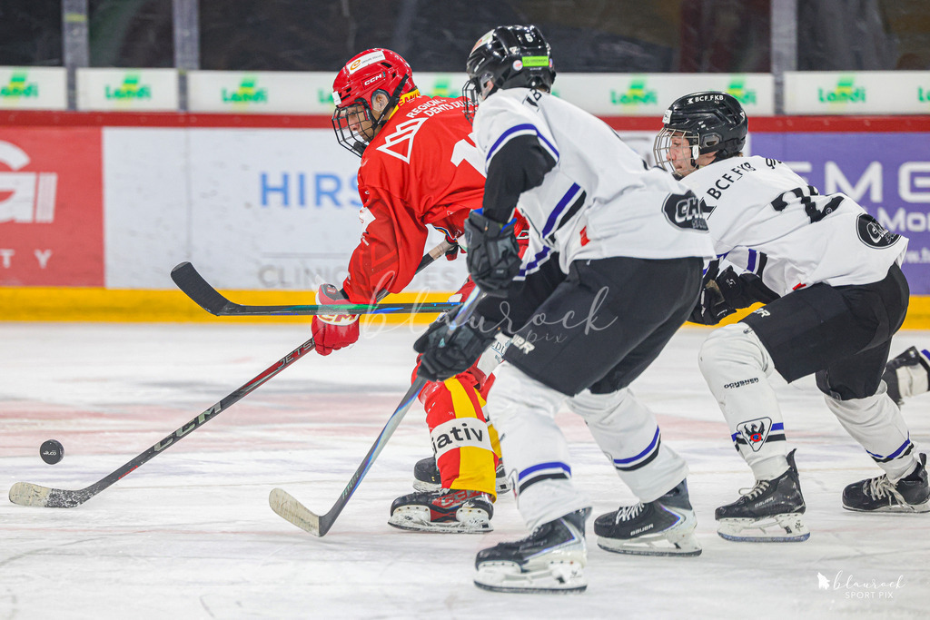 EHCB Spirit vs HCFG_wb-8822 | Sportbilder, Sportfotograf, Hochzeits- und Eventfotografin, Flugshows, Portraits und Tiershooting, Aviation, Downhill, Nationalleague, Swissleague, International