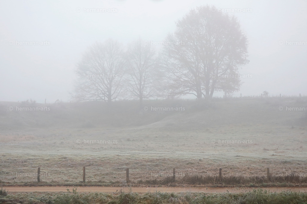 Trees_fine_Art_0017 | Photo Foto Kunst Art schwarzweiss Bilder Rheine Münster Berlin Blumen 