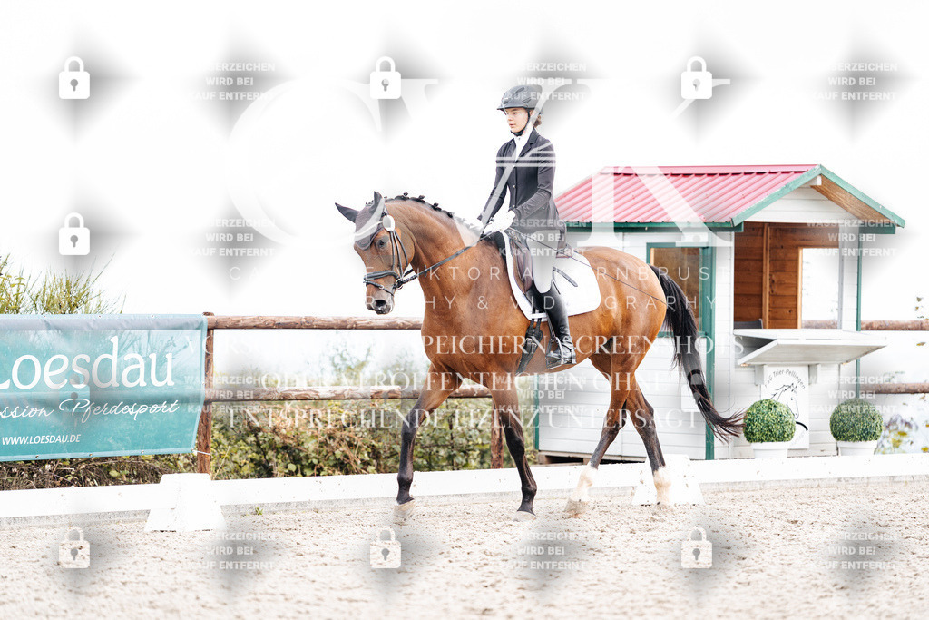 CK900995 | Turnierfotografie Pferdefotografie Trier Rheinland-Pfalz Pferdesport Reitsport Tierfotografie Sportfotografie Pferdevideo Pferdevideografie Equestrianvideography equestrianphotography  - Realisiert mit Pictrs.com