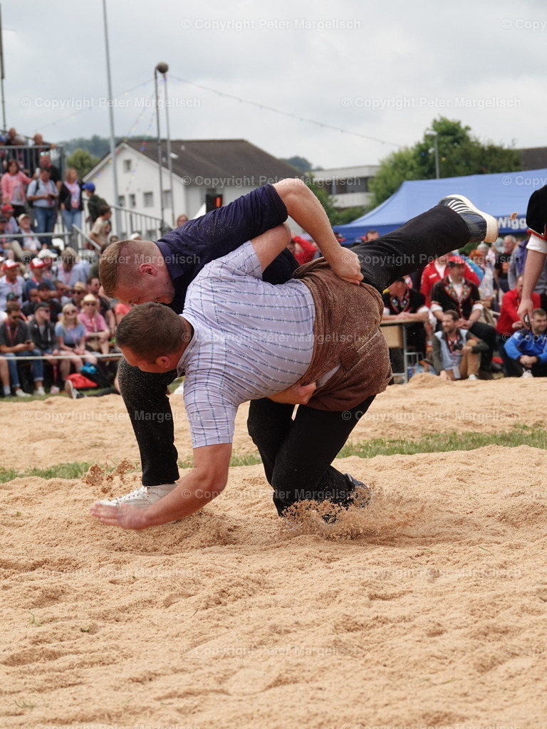 DSC04941 | Schwingen - Realisiert mit Pictrs.com