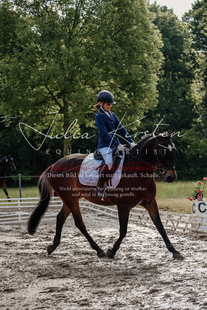 DSC_9117 | Pferde- und Turnierfotografie in Westsachsen. Pferdeportraits, Auftragszeichnungen und intuitive Kunst.