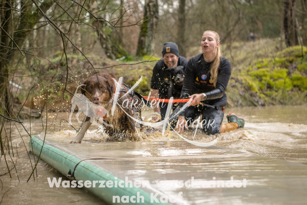 1339_ZZ90364-Bearbeitet | kk-dogfotos
