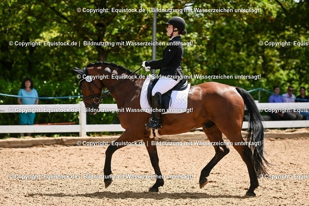 20230716_03_Dressurprfg. Kl.L - Tr._0084 | equistock