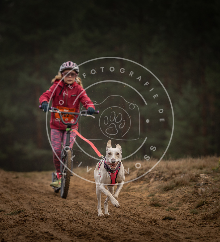 Pfotenfotografie_DV3A5015 | Hundefotografie, Tierfotograf, Pfotenfotografie, Fotoshooting Hund, Hunde Portrait, Hundesport, Hundeportraits, Heideshooting, Hunde, Sportfotograf, Hundefotograf, Turnierhundsport, THS,  - Realisiert mit Pictrs.com