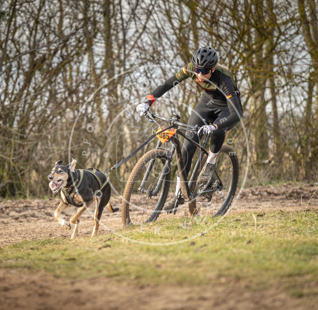 Pfotenfotografie_DV3A7576 | Hundefotografie, Tierfotograf, Pfotenfotografie, Fotoshooting Hund, Hunde Portrait, Hundesport, Hundeportraits, Heideshooting, Hunde, Sportfotograf, Hundefotograf, Turnierhundsport, THS,  - Realisiert mit Pictrs.com