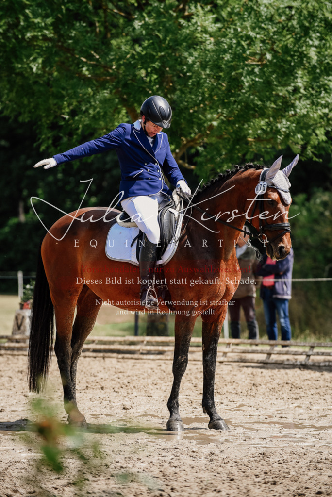 DSC_1271 | Pferde- und Turnierfotografie in Westsachsen. Pferdeportraits, Auftragszeichnungen und intuitive Kunst.